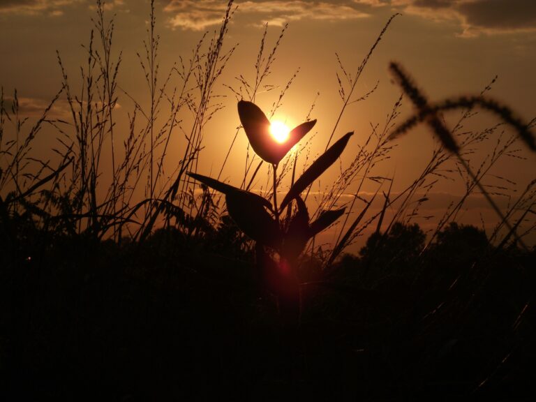 A small ray of light can pierce the blinding darkness